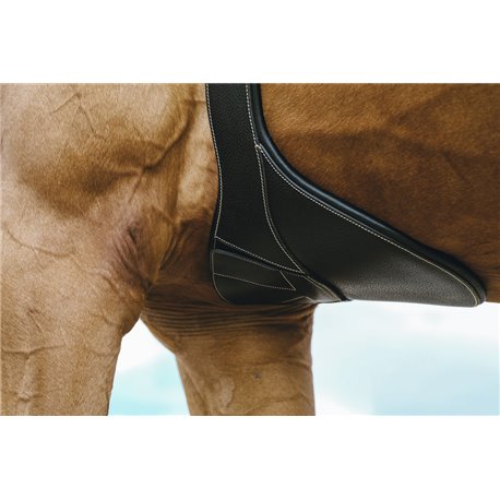 NORTON "Magnet" Sattelgurt mit Stollenschutz