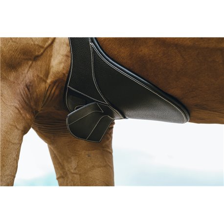 NORTON "Magnet" Sattelgurt mit Stollenschutz