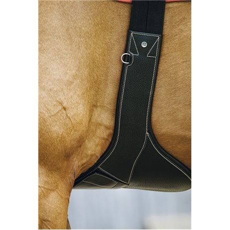 NORTON "Magnet" Sattelgurt mit Stollenschutz