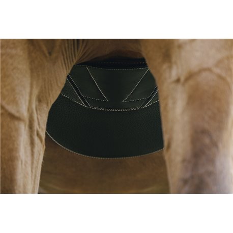 NORTON "Magnet" Sattelgurt mit Stollenschutz