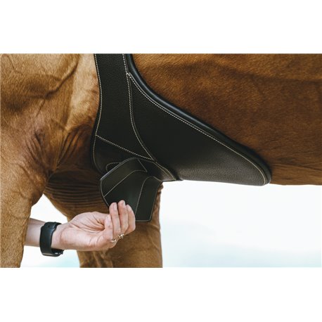 NORTON "Magnet" Sattelgurt mit Stollenschutz