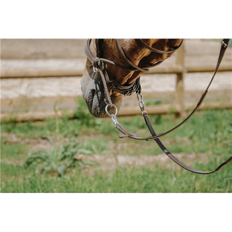 NORTON Trensenzaum Bitless