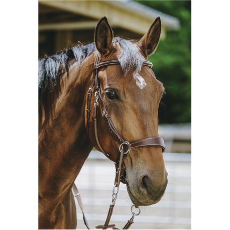 NORTON Trensenzaum Bitless