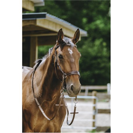 NORTON Trensenzaum Bitless