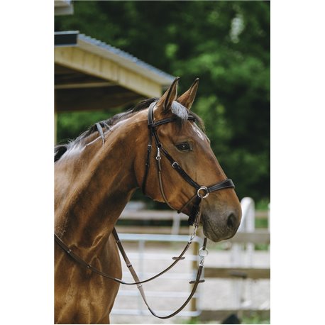 NORTON Trensenzaum Bitless