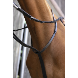 Enr?nement NORTON PRO "Thiedeman" 2