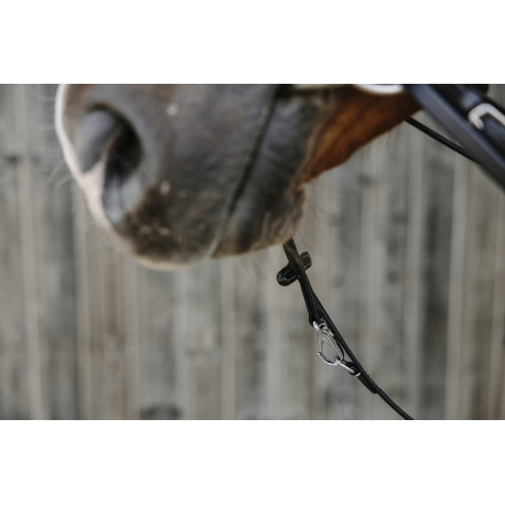 Enr?nement NORTON PRO "Thiedeman"