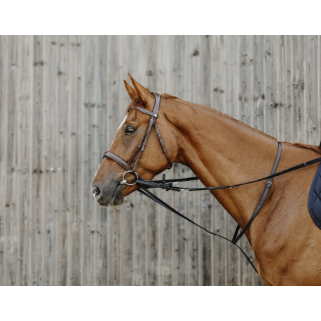 Enr?nement NORTON PRO "Thiedeman"