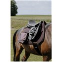 RANDOL'S - Mesh - Wanderreitschabracke
