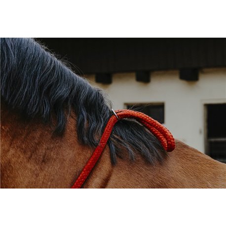 NORTON Ethologisches Halsband