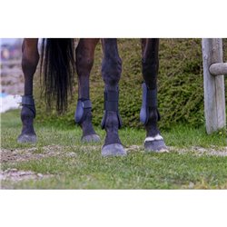 Gu?tres tendon RIDING WORLD 2