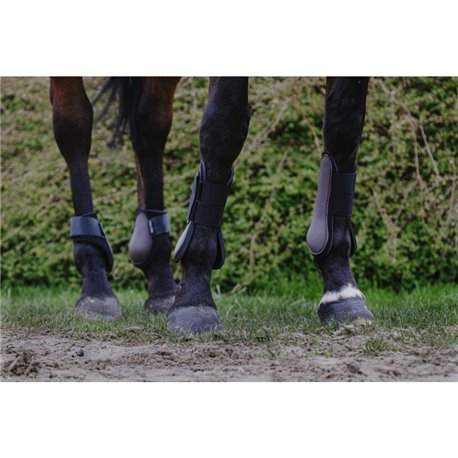 RIDING WORLD Streichkappen