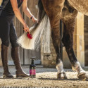CARR & DAY & MARTIN Mähnen- und Schweifspray Canter®