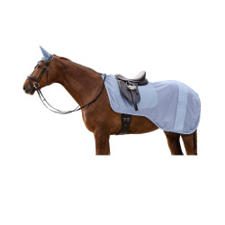 Fliegen - Nierendecke Rom 2