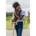 Hobby Horse -Mini