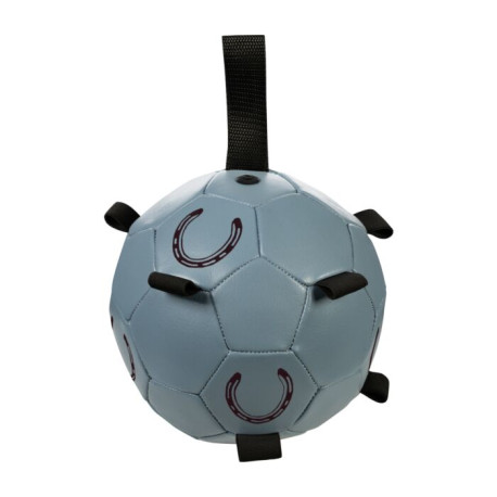 Pferdespielball -Fun