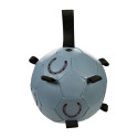 Pferdespielball -Fun
