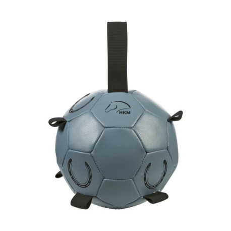 Pferdespielball -Fun