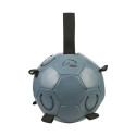 Pferdespielball -Fun