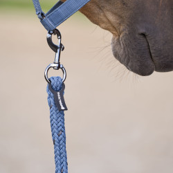 Longe d'attache Deluxe 2