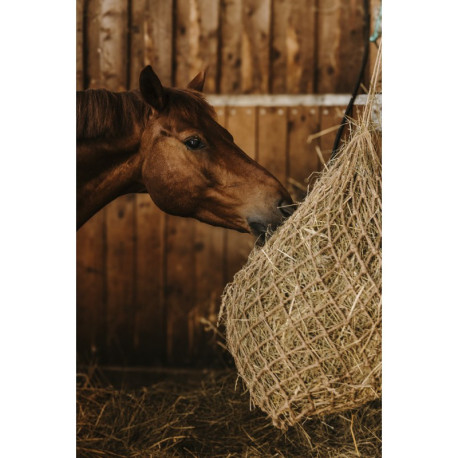 HIPPOTONIC - Naturel - Heunetz