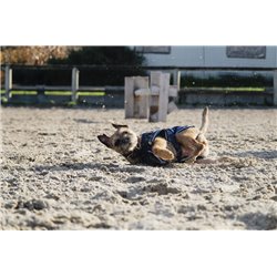 EQUITHEME Fleecedecke f?r Hund 2