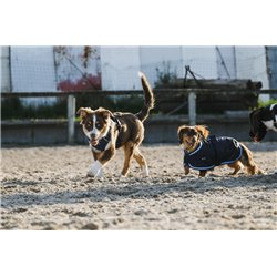 EQUITH?ME - Eco 600D - Hundedecke 2