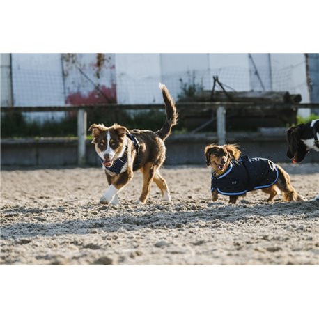 EQUITH?ME - Eco 600D - Hundedecke