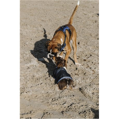 EQUITH?ME - Eco 600D - Hundedecke