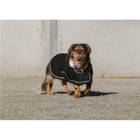 Je t'aime EQUITH?ME Hundedecke