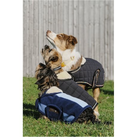 EQUITH?ME - New Market - Hundedecke