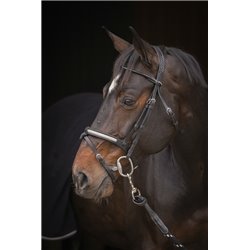 Bridon PENELOPE "Symphonie" 2