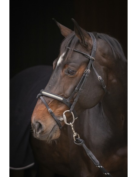 Bridon PENELOPE "Symphonie"