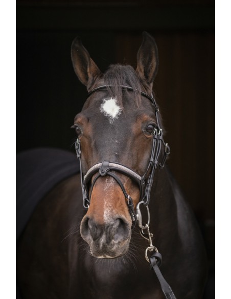 Bridon PENELOPE "Symphonie"