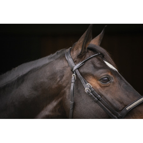 Bridon PENELOPE "Symphonie"