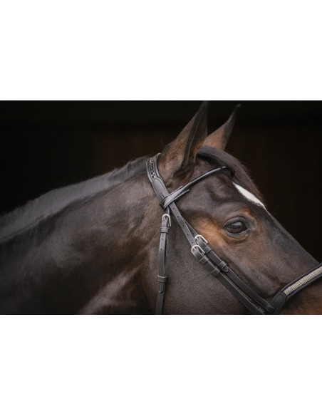 Bridon PENELOPE "Symphonie"