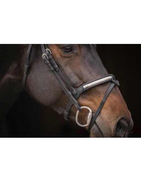 Bridon PENELOPE "Symphonie"