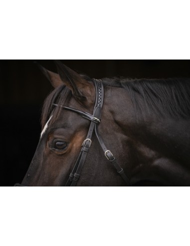 Bridon PENELOPE "Symphonie"