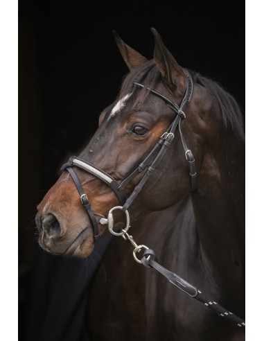 Bridon PENELOPE "Symphonie"