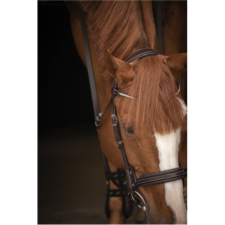 Bridon PENELOPE "Daily Strass"