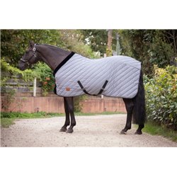 PADDOCK Stalldecke - Diagonal 2