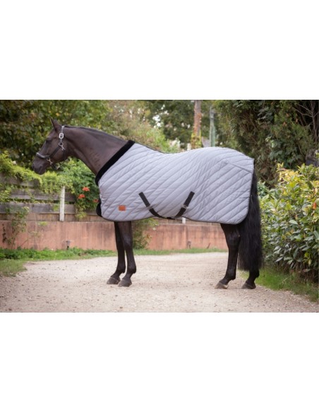 PADDOCK Stalldecke - Diagonal