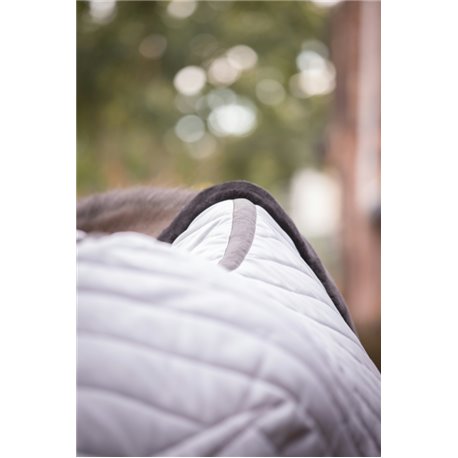 PADDOCK Stalldecke - Diagonal