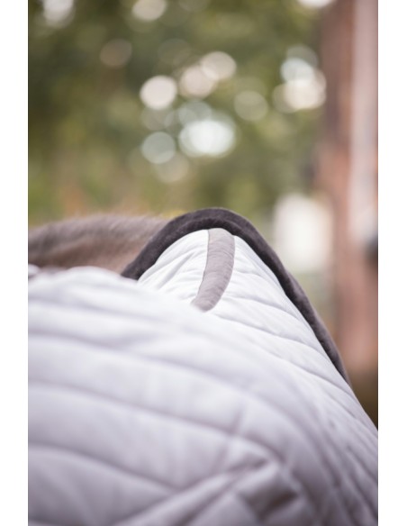 PADDOCK Stalldecke - Diagonal