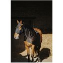 Protection de cou int?gral EQUITHEME - Lycra/Mesh