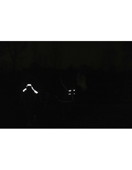 LAMI-CELL Decke 1200D - Armadillo