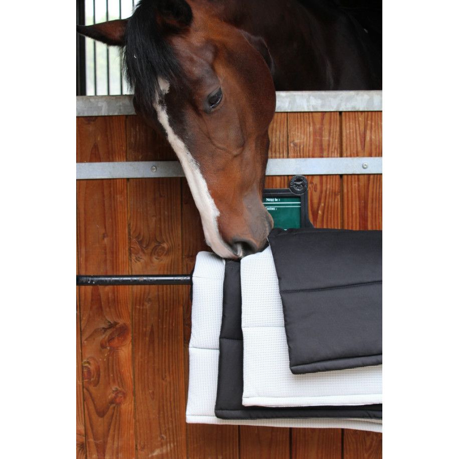 Sous-bandages PENELOPE "Bamboudry"