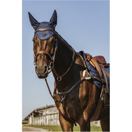 NORTON - 5 points - Vorderzeug