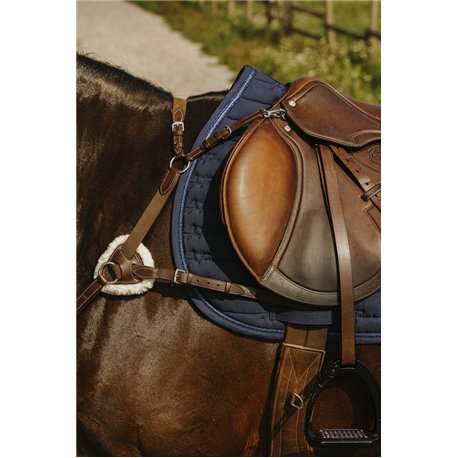 NORTON - 5 points - Vorderzeug