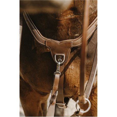 NORTON - 5 points - Vorderzeug